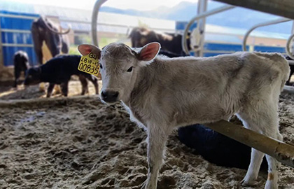 1691405477917409.jpg 7.jpg